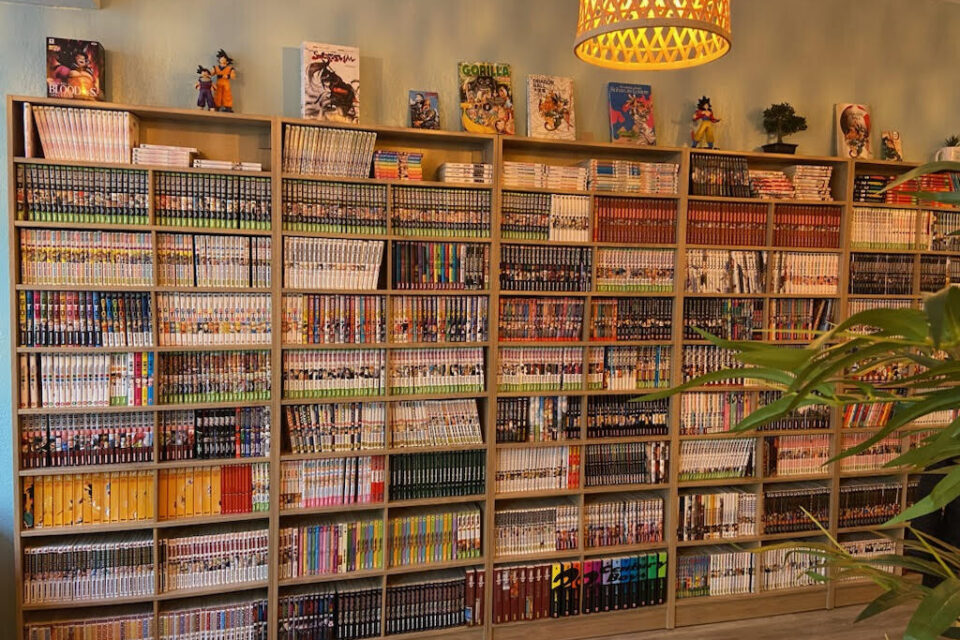 Par quel manga commencer quand on débute ?
