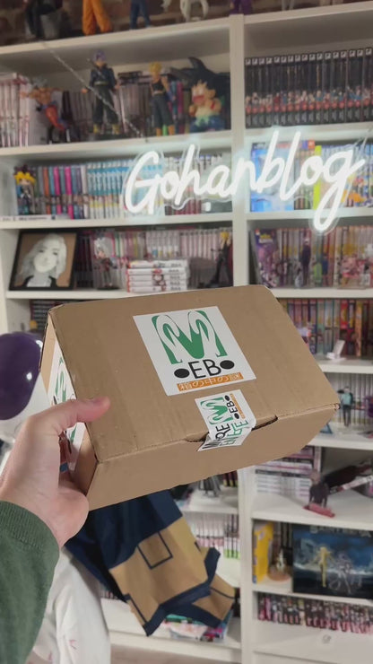 Box MEB – Figurine Manga Mystère